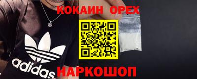 гашик Можга