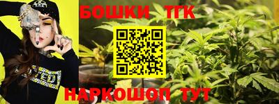 гашик Можга