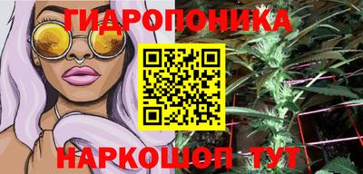 прущие грибы Моздок