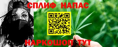 прущие грибы Моздок