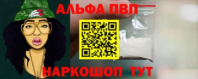 гашик Можга