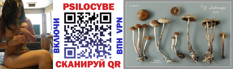даркнет наркотические препараты  Калининград  Псилоцибиновые грибы MAGIC MUSHROOMS 